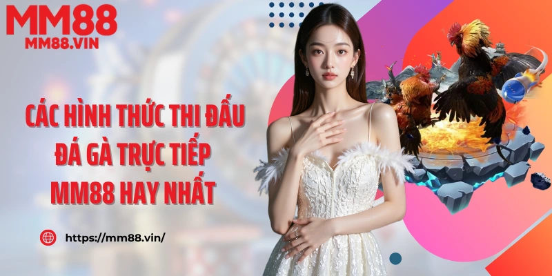 Các hình thức thi đấu đá gà trực tiếp MM88 hay nhất