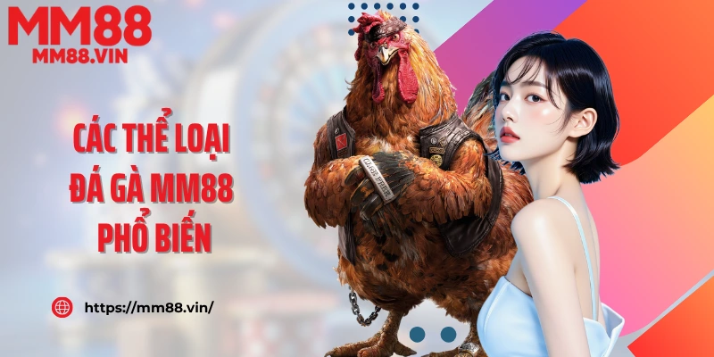 Các thể loại đá gà MM88 phổ biến
