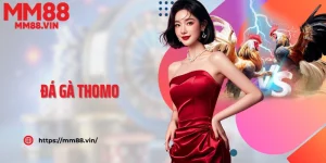 Đá Gà Thomo