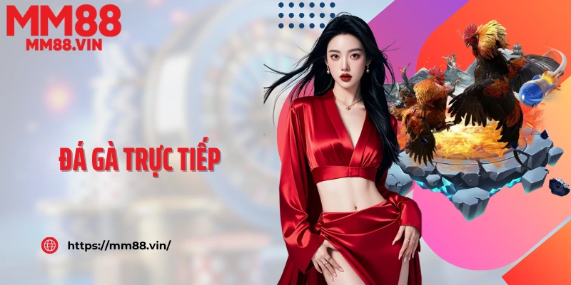 Đá Gà Trực Tiếp