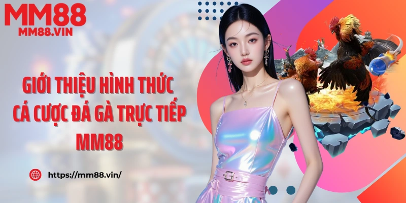Giới thiệu hình thức cá cược đá gà trực tiếp MM88